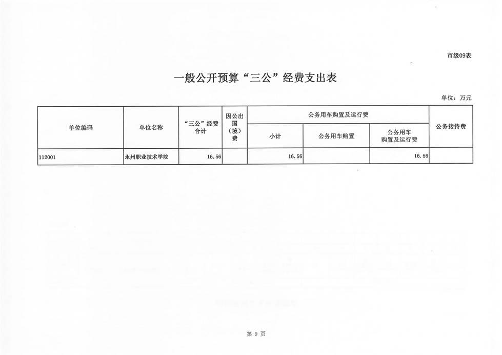 永州职院2019年部门预算公开报表_页面_11.jpg