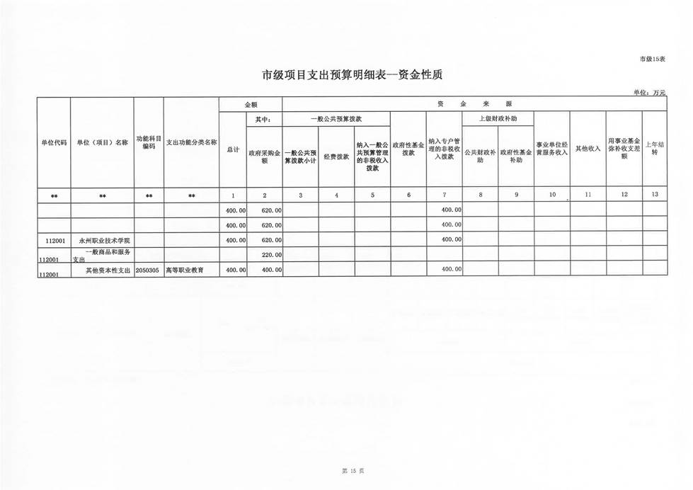永州职院2019年部门预算公开报表_页面_17.jpg